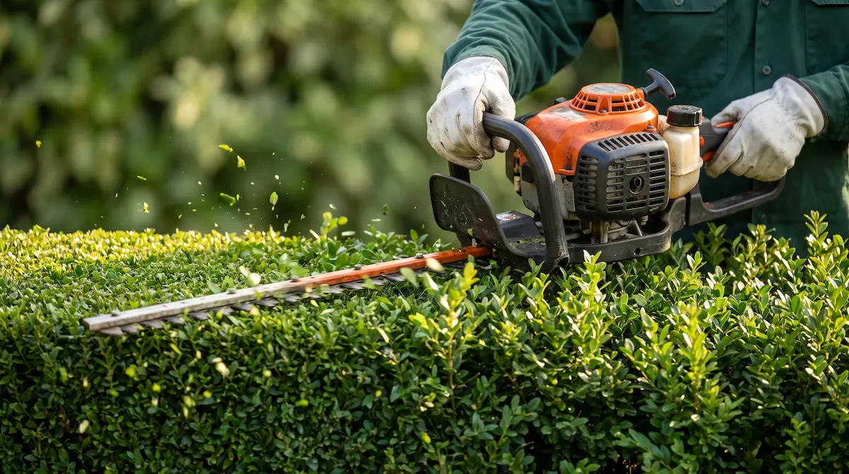 Garden maintenance and lawn care